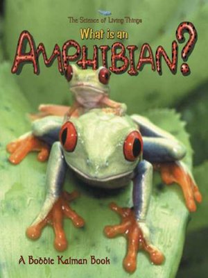 cover image of What is an Amphibian?